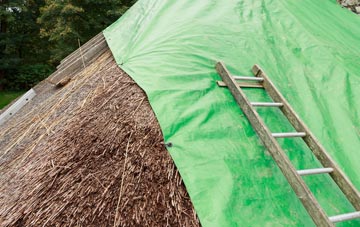 maintaining Gilwell Park thatch