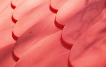 Gilwell Park plastic roof costs